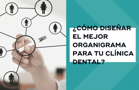 ¿Cómo diseñar el mejor organigrama para tu clínica dental? -   
